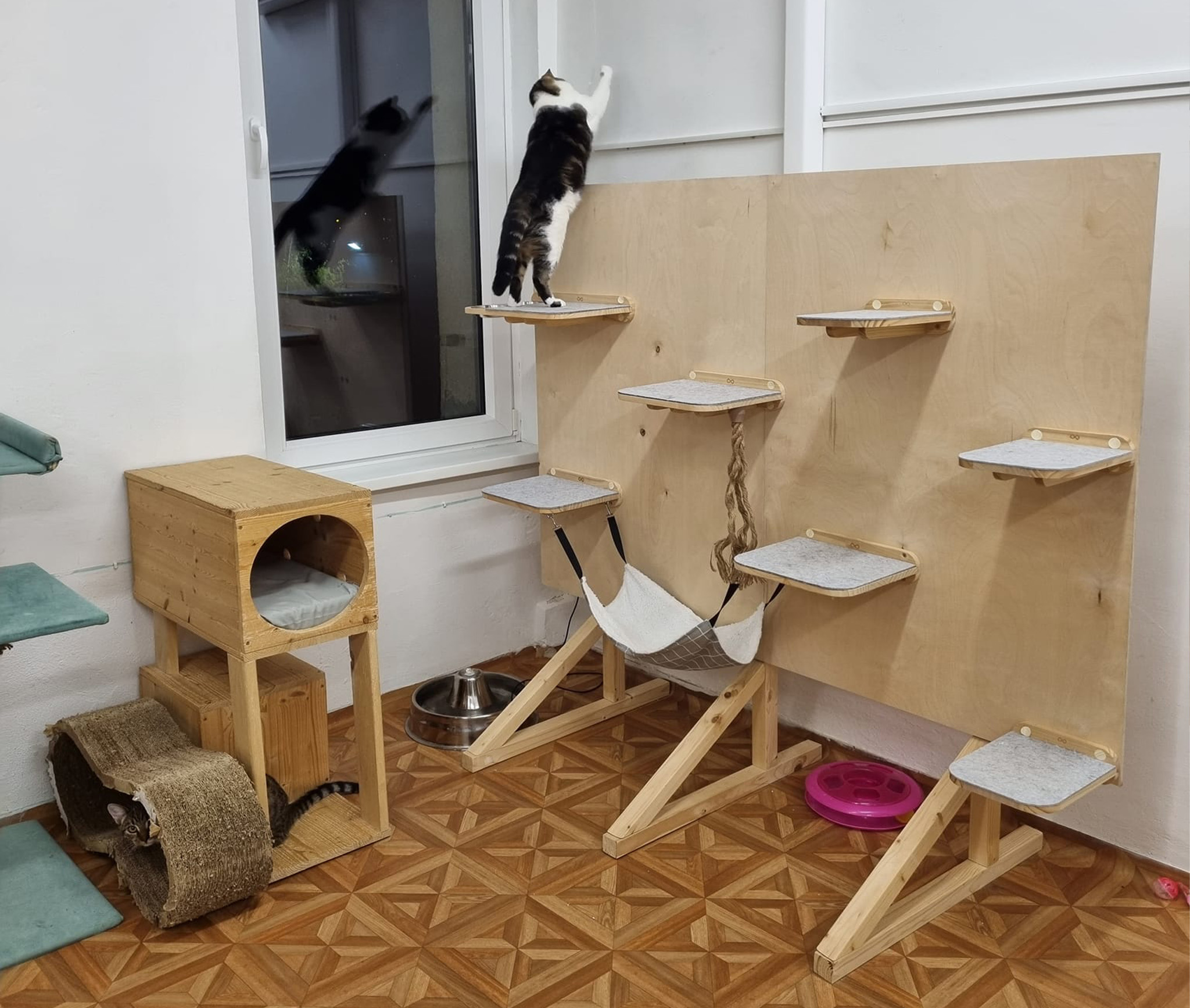 Cat Shelter